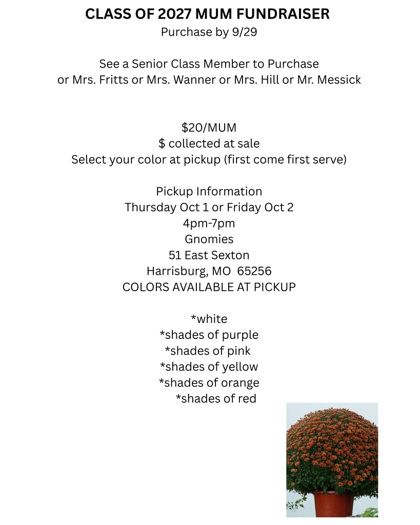 Mum Fundraiser