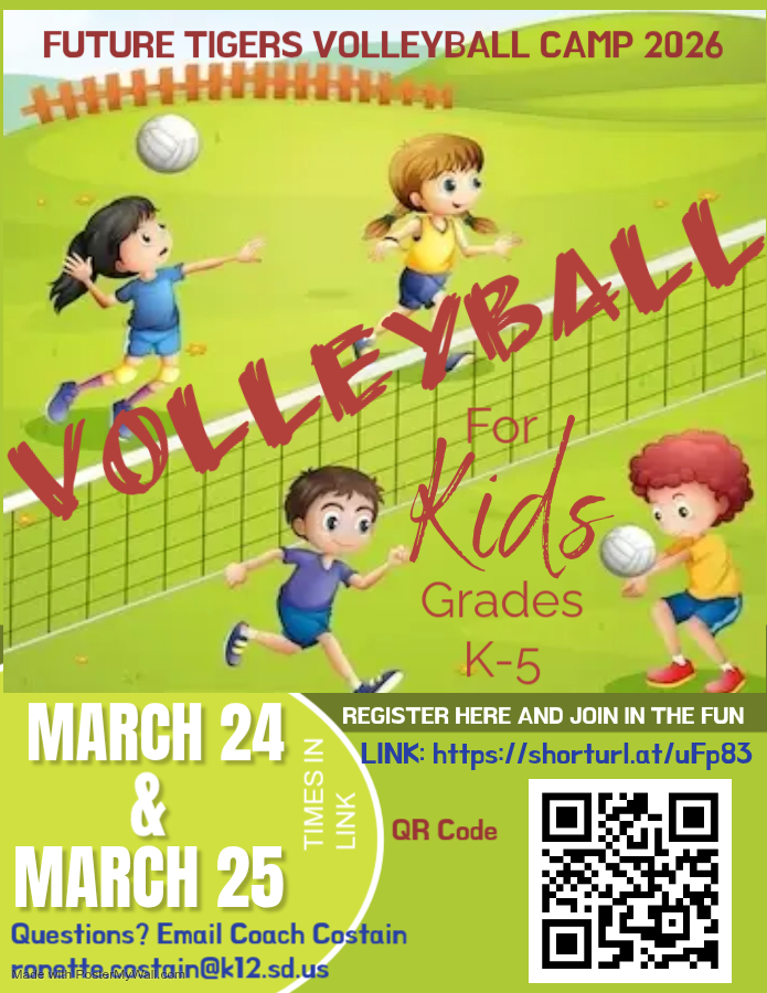 volleyball mini camp