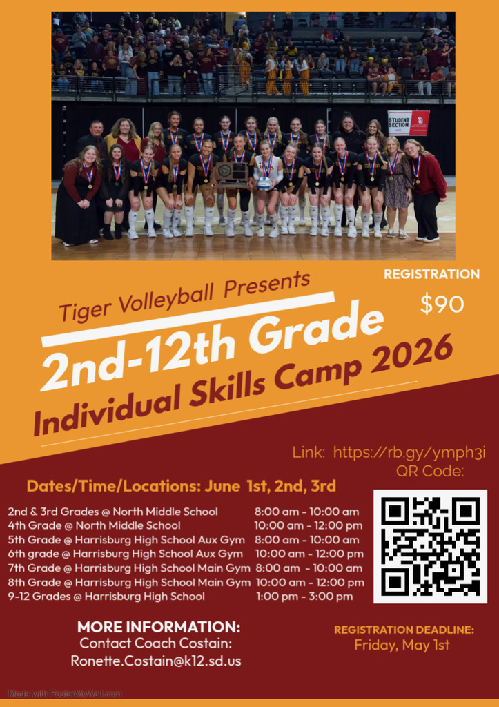 Volleyball Skills Camp