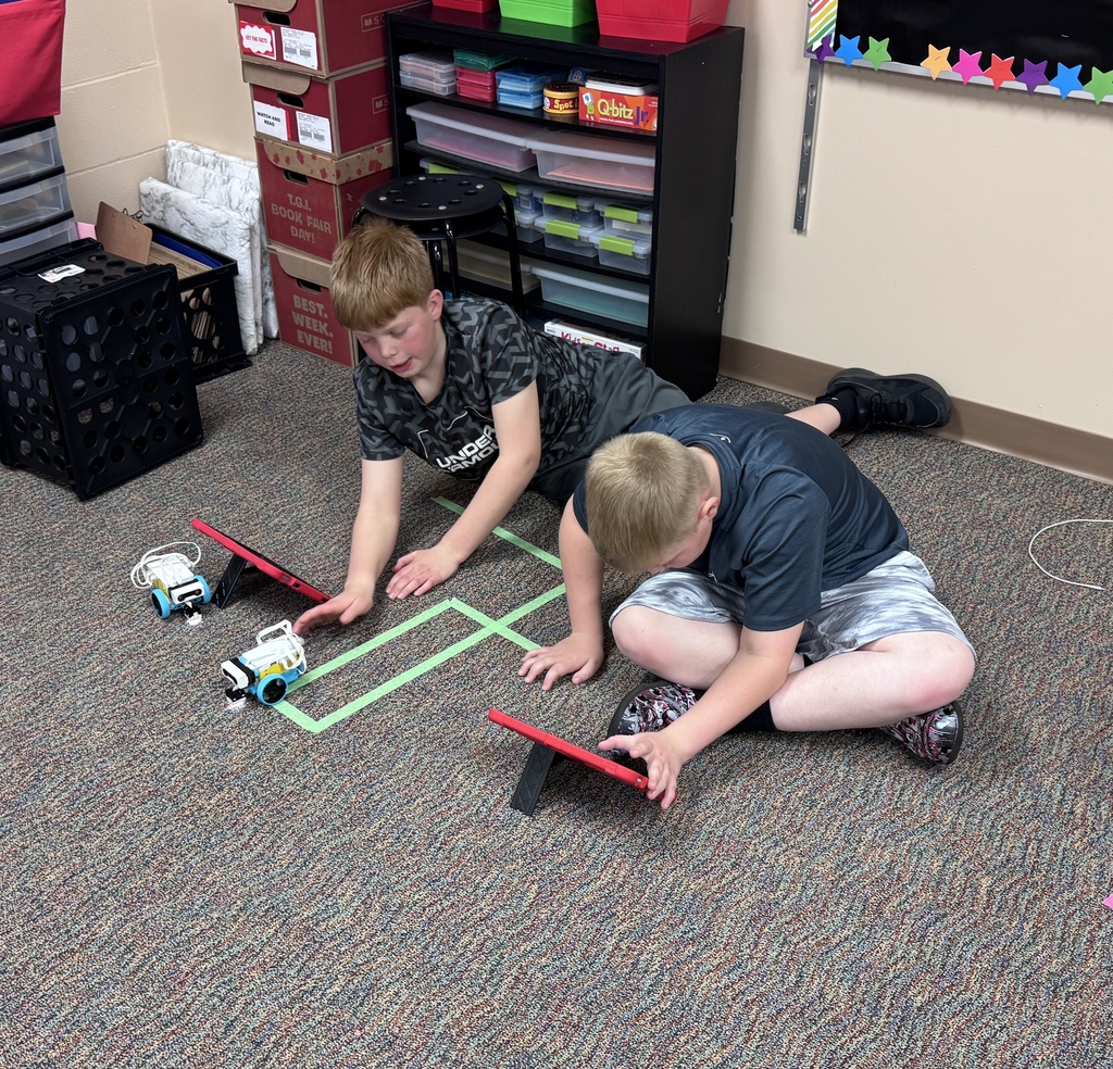 Learner Interest Day