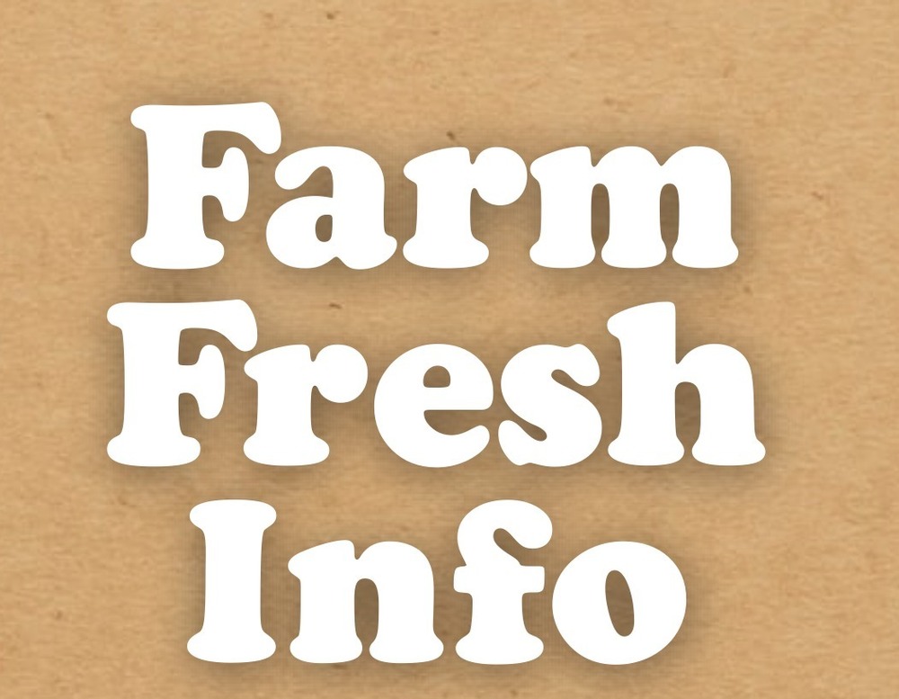 Bridgeport Farmers Market