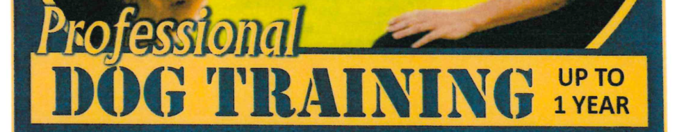 HCPR: Professional Dog Training