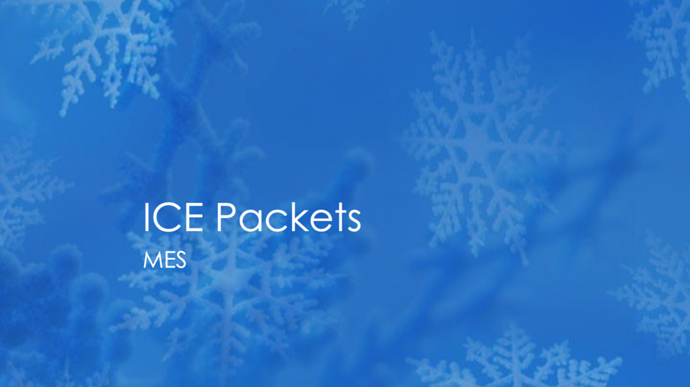 Mountaineer Elementary Ice Packets. See article below for details.