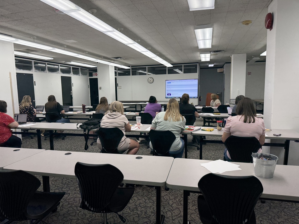 karon freeland conducts math professional development