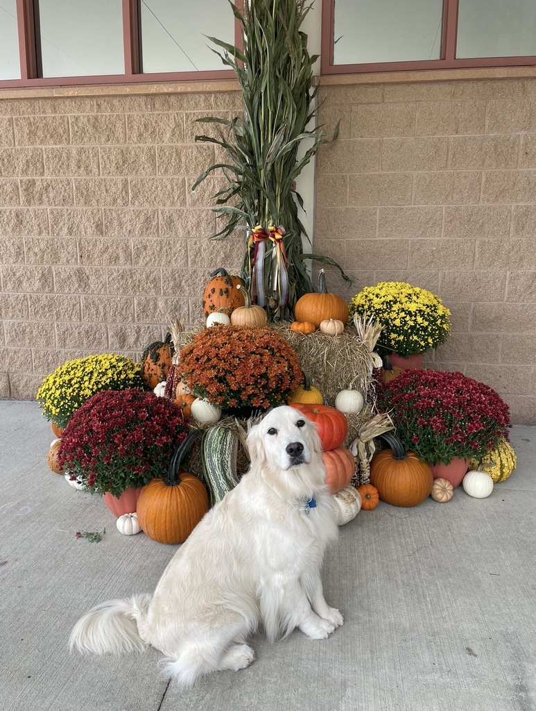 fall decorations
