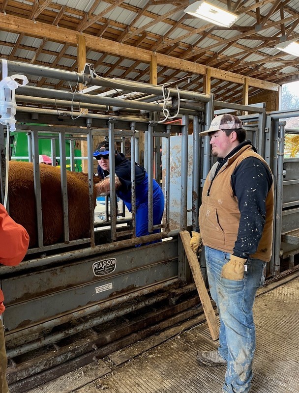 South Harrison FFA South Harrison FFA