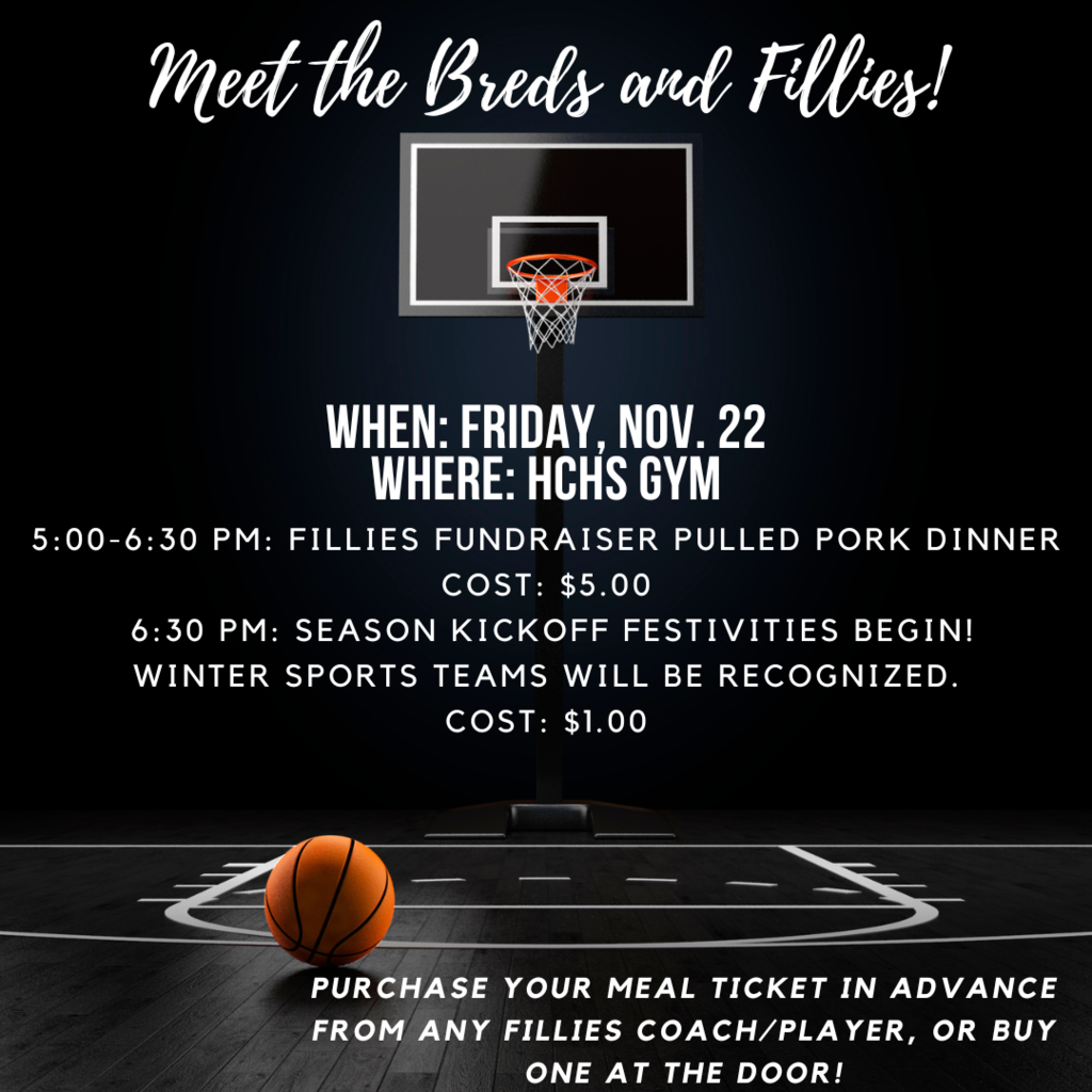 Meet the Fillies