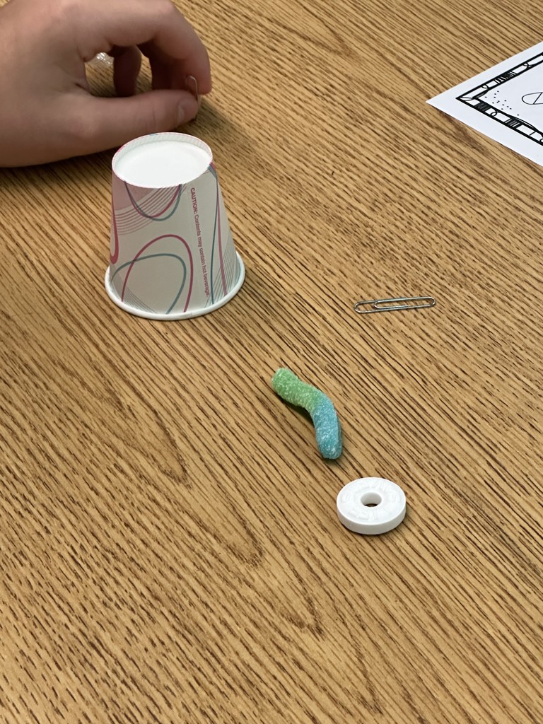 Students in Mrs. Callahans' class practiced several of the seven habits during RTI. They synergized, practiced think-win-win, and began with the end in mind as they created a plan and worked together to get Fred through the life preserver and back on the boat, just using paper clips.