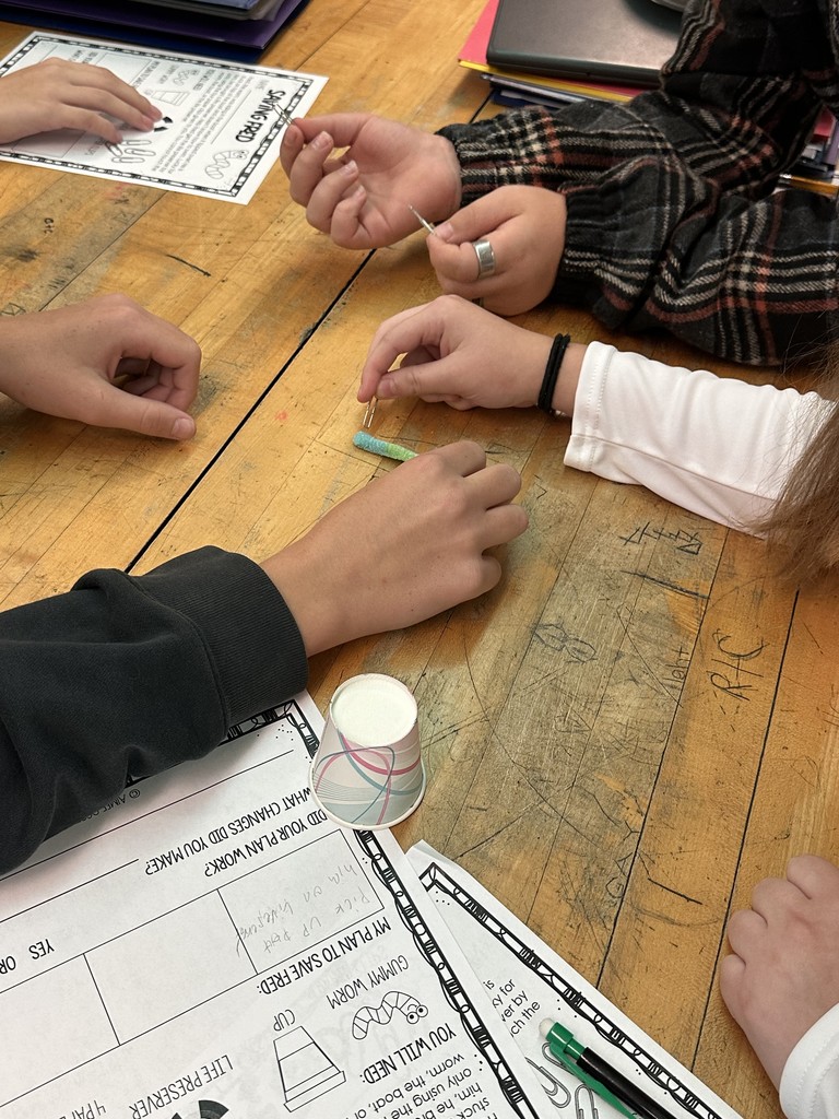 Students in Mrs. Callahans' class practiced several of the seven habits during RTI. They synergized, practiced think-win-win, and began with the end in mind as they created a plan and worked together to get Fred through the life preserver and back on the boat, just using paper clips.