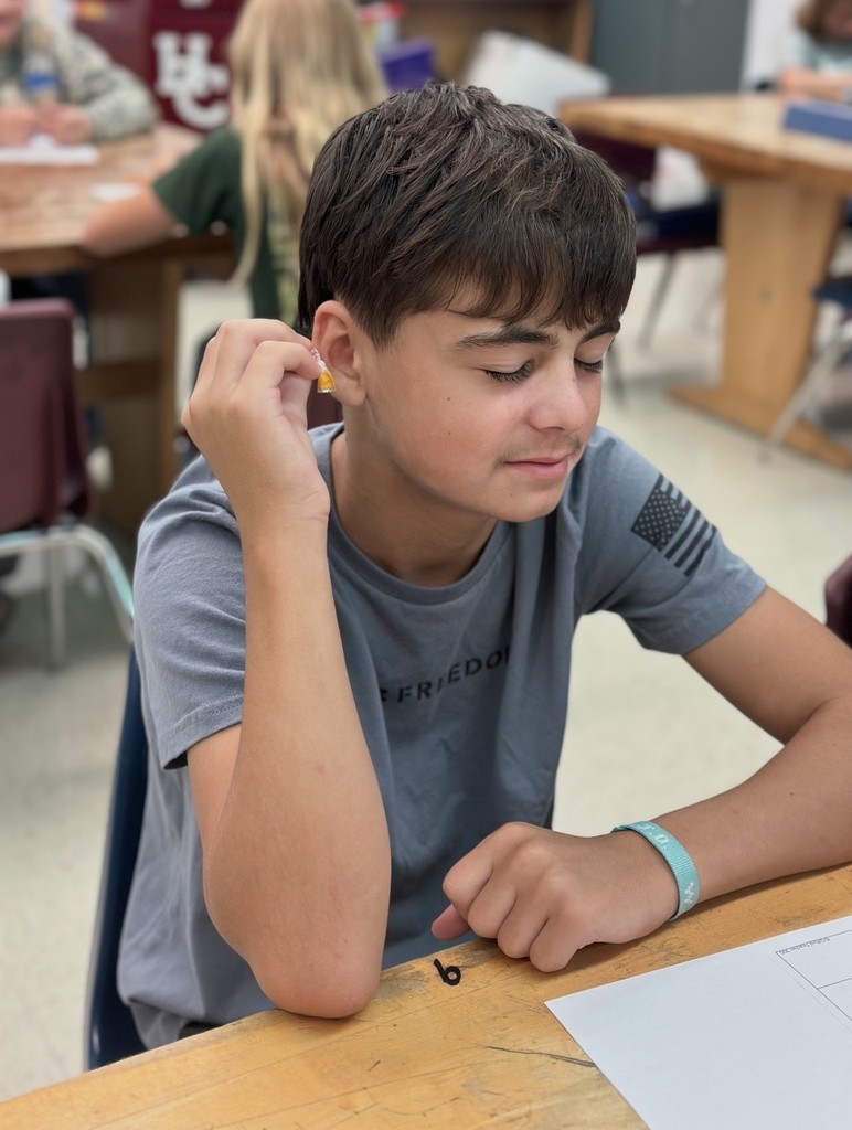 7th Grade Science qualitative observation lab