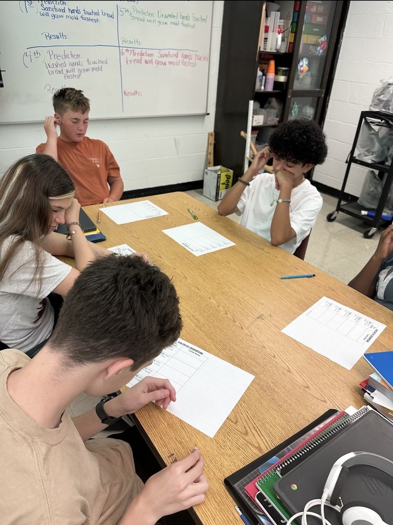 7th Grade Science qualitative observation lab