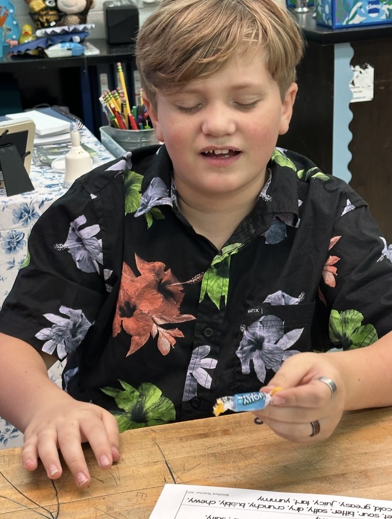 7th Grade Science qualitative observation lab