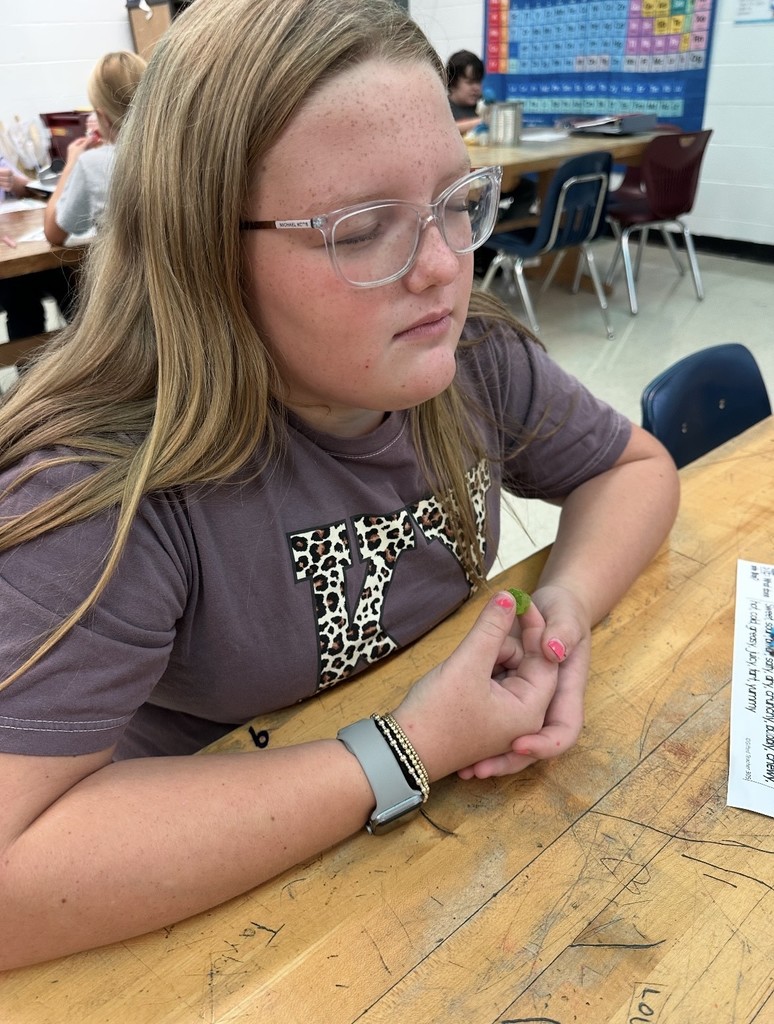 7th Grade Science qualitative observation lab