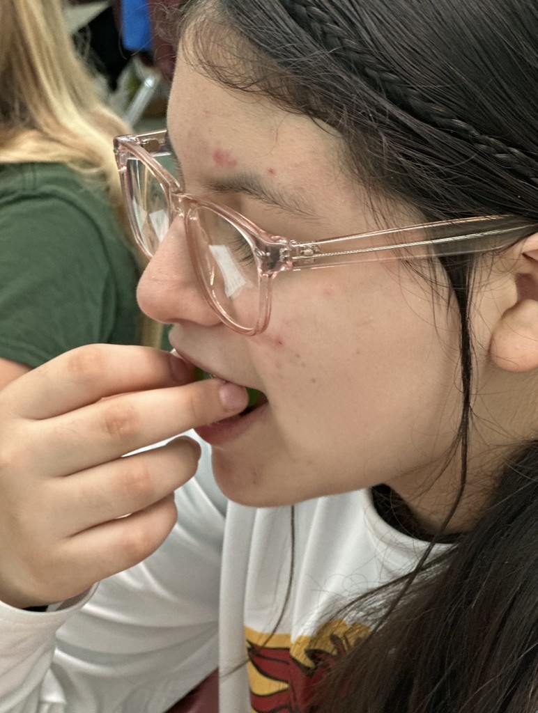 7th Grade Science qualitative observation lab