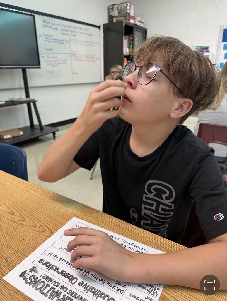 7th Grade Science qualitative observation lab