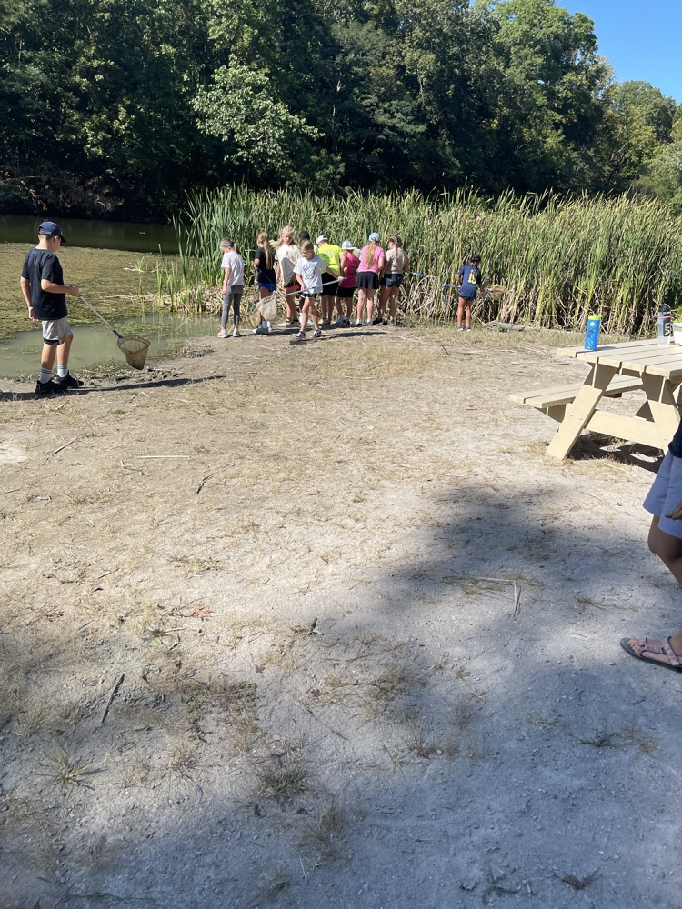 Pond study 