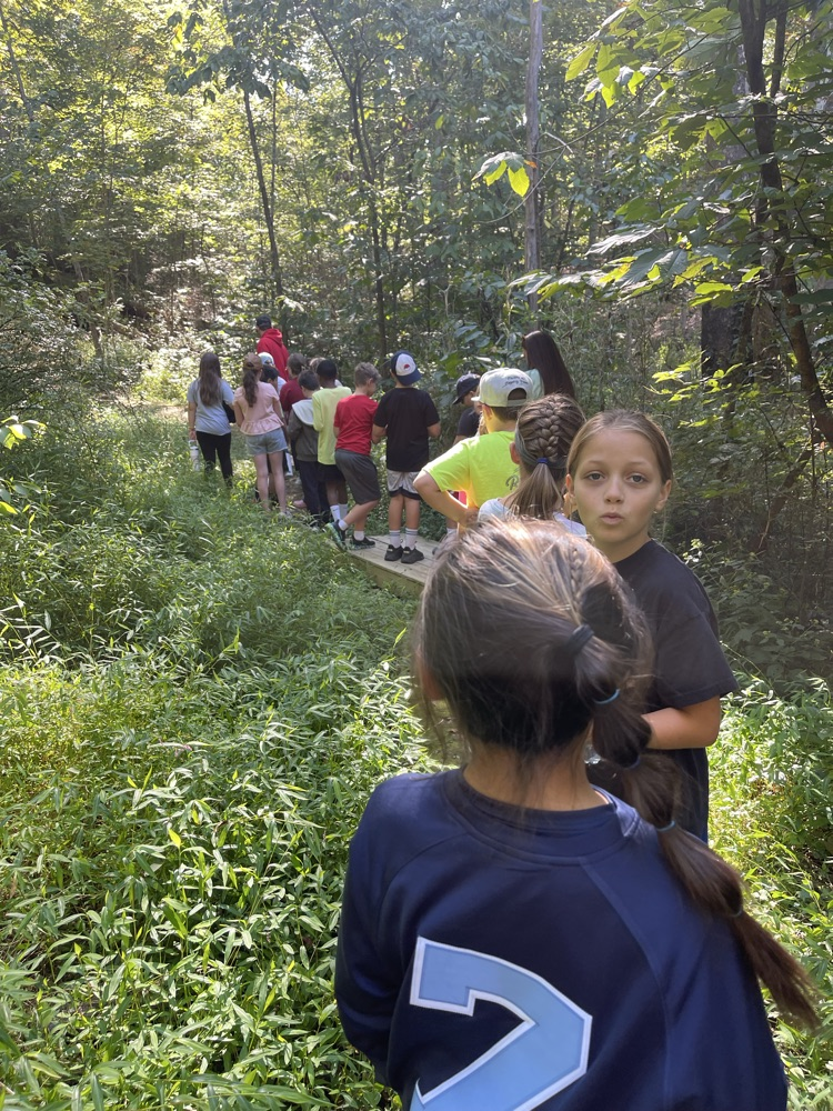 hiking at environmental camp