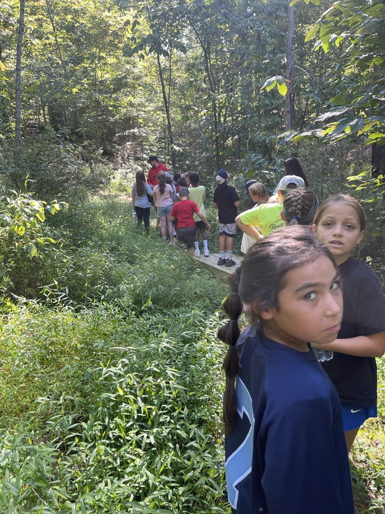 hiking at environmental camp 