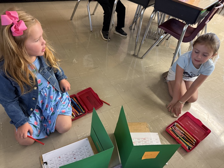 student working in pairs