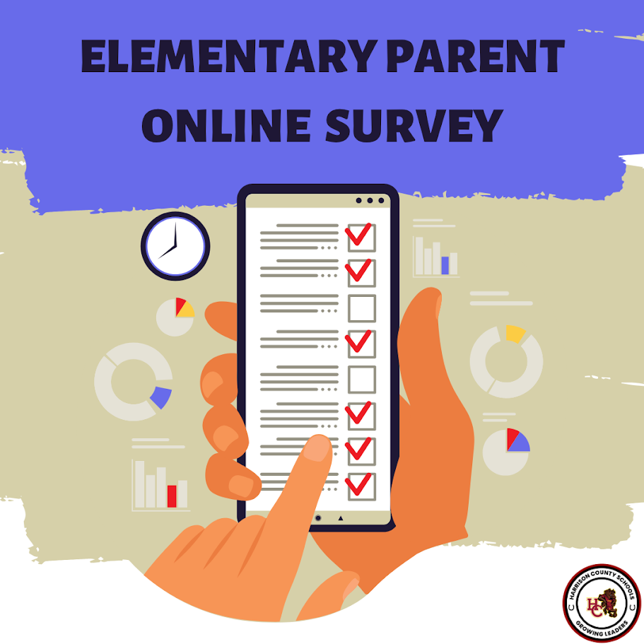 Online Survey 