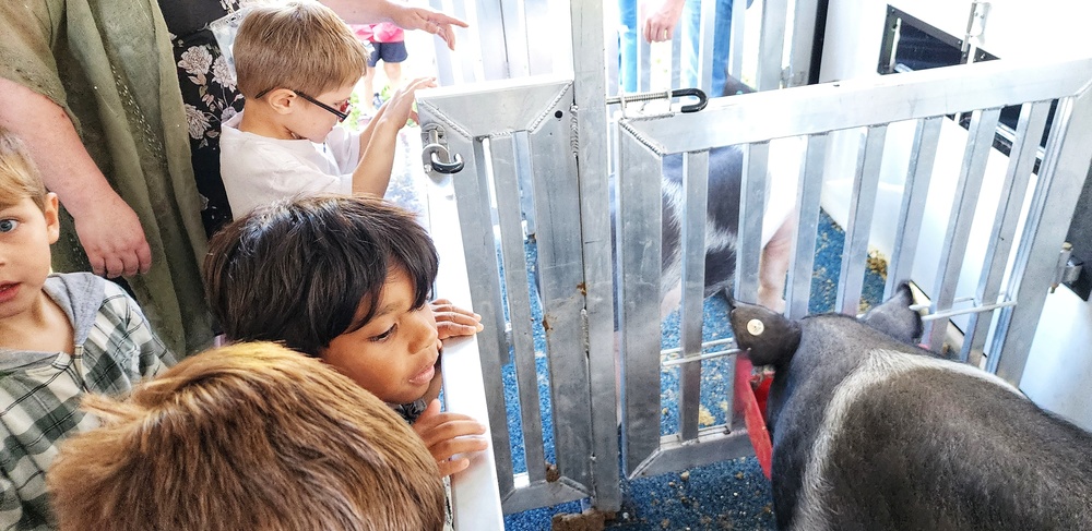 students viewing animals