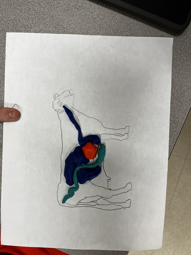 👩‍🌾🐄 Hands-on Learning in Intro to Agriculture!  Mr. Jennings’ students got creative while studying the ruminant digestive system. Using colorful play dough, they built models to better understand the four parts of the ruminants digestive tract. A fun (and messy!) way to bring science to life! 🌾✨