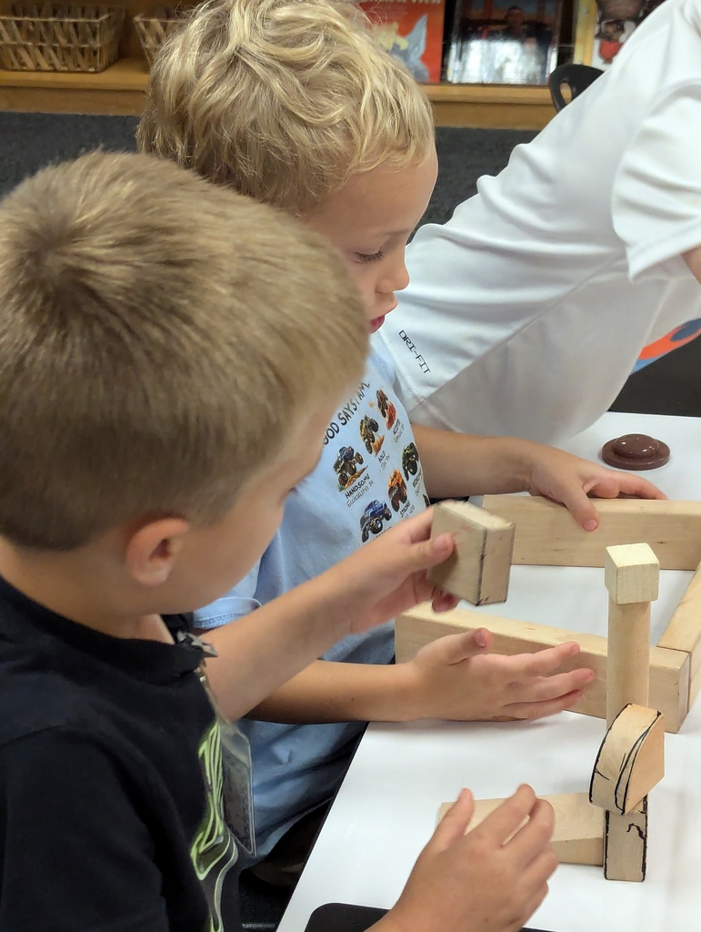 students working on houses