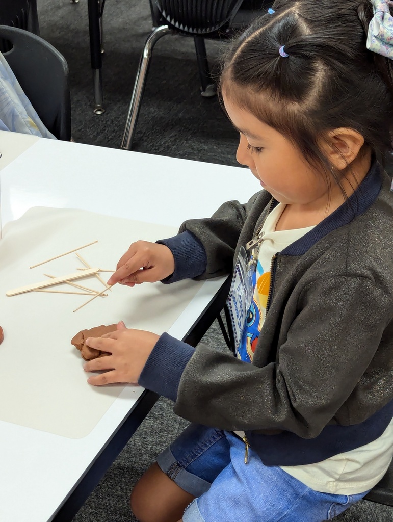 students working on houses