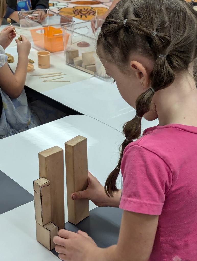 students working on houses