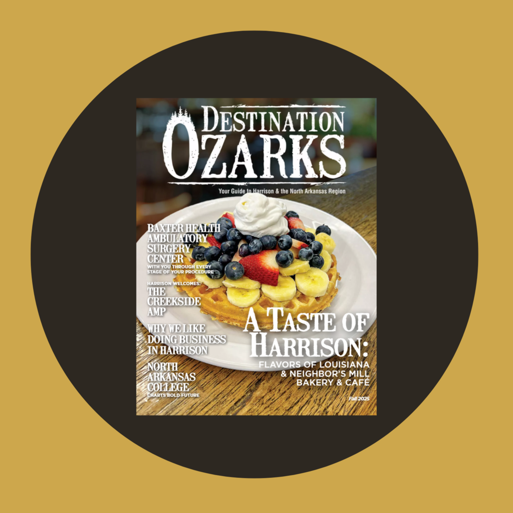 Destination Ozarks magazine cover