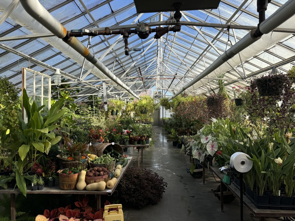 HMS 8th graders visited College of the Ozarks today! 🎓✨   HMS 8th grade students toured College of the Ozarks today to explore careers in the hospitality industry. In addition to touring the campus, students had a behind-the-scenes view of the kitchen, dairy farm, mill, and greenhouse. 🌾🥛🍴🌱   #HarrisonMiddleSchoolGoblins 🐉💛💙 #HMS8thGrade 🎓 #CTE 🛠️ #FutureReady 🚀 #CareerExploration 🔎