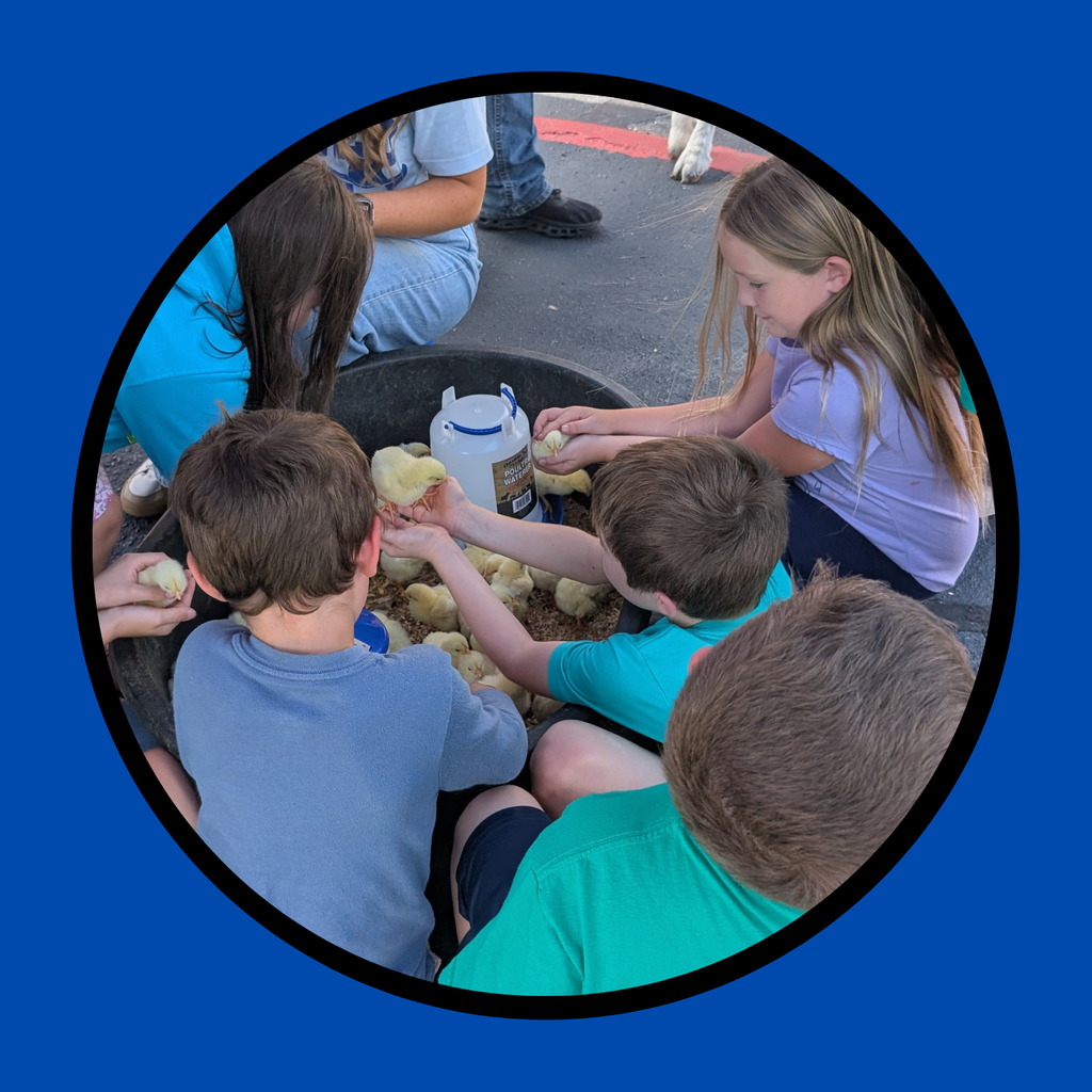 students with animals