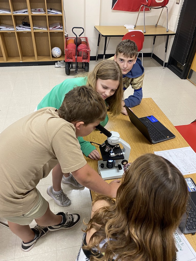 Mr. Ditmanson’s 6th Grade Science class explored Cell Theory with a hands-on microscope lab. 🔬🧬 Students had a blast discovering the building blocks of life up close! 👀✨ #HarrisonMiddleSchool #Goblins #ScienceFun #FutureScientists #STEMRocks  