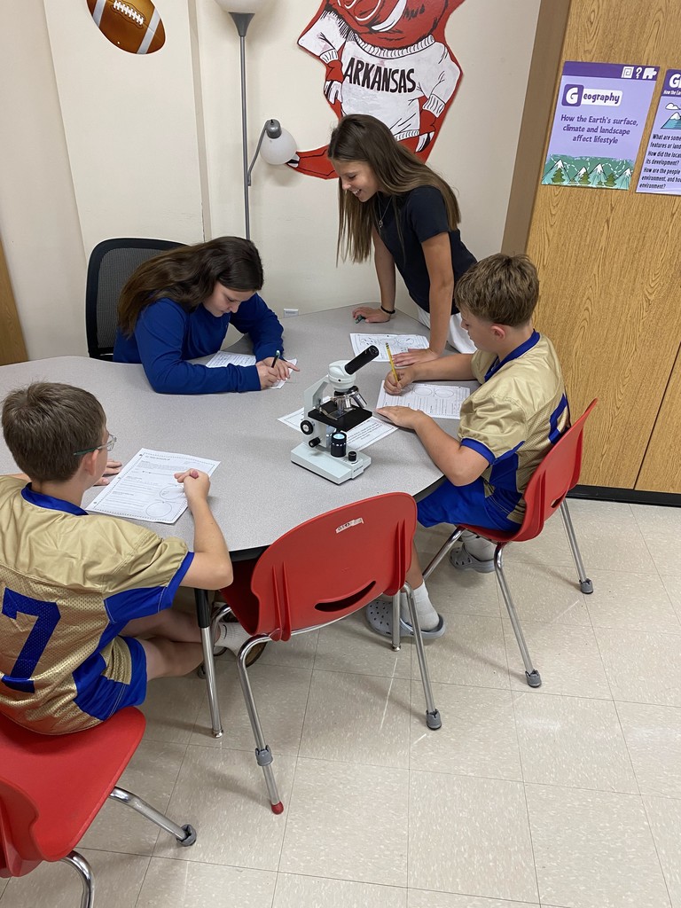 Mr. Ditmanson’s 6th Grade Science class explored Cell Theory with a hands-on microscope lab. 🔬🧬 Students had a blast discovering the building blocks of life up close! 👀✨ #HarrisonMiddleSchool #Goblins #ScienceFun #FutureScientists #STEMRocks  