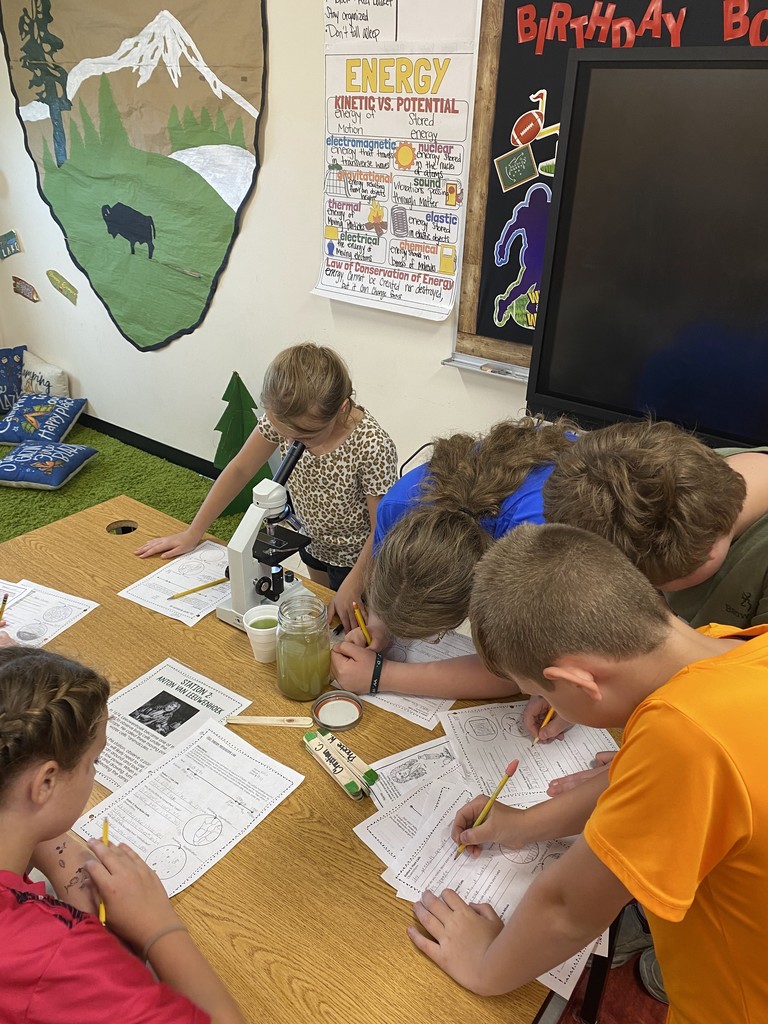 Mr. Ditmanson’s 6th Grade Science class explored Cell Theory with a hands-on microscope lab. 🔬🧬 Students had a blast discovering the building blocks of life up close! 👀✨ #HarrisonMiddleSchool #Goblins #ScienceFun #FutureScientists #STEMRocks  