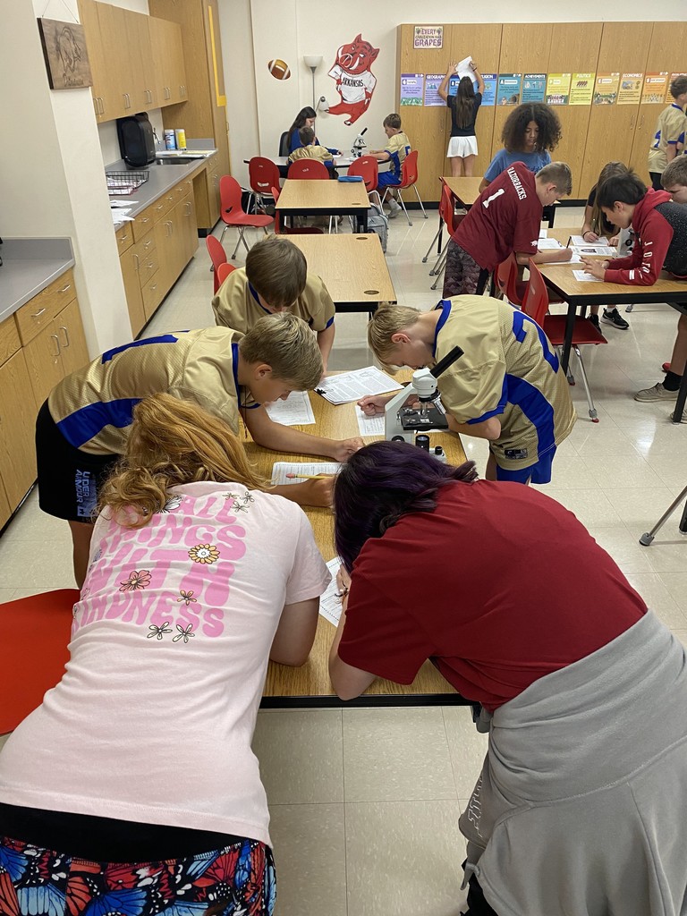 Mr. Ditmanson’s 6th Grade Science class explored Cell Theory with a hands-on microscope lab. 🔬🧬 Students had a blast discovering the building blocks of life up close! 👀✨ #HarrisonMiddleSchool #Goblins #ScienceFun #FutureScientists #STEMRocks  