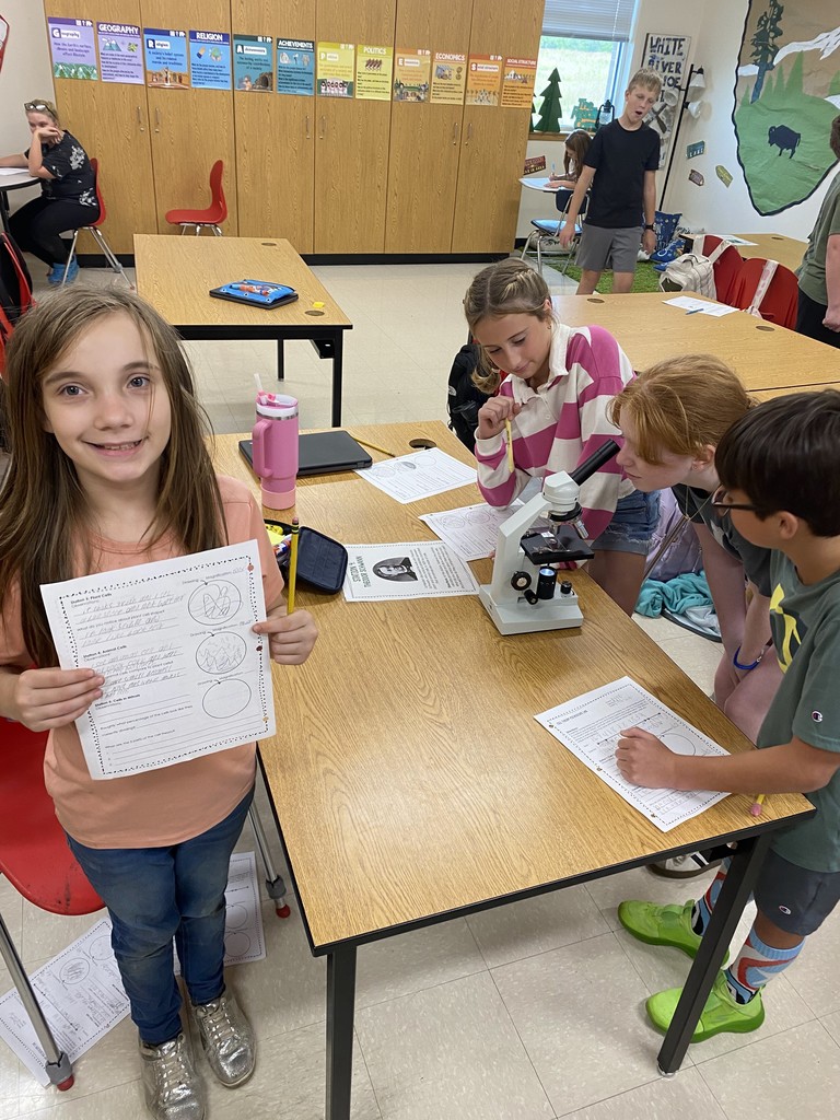 Mr. Ditmanson’s 6th Grade Science class explored Cell Theory with a hands-on microscope lab. 🔬🧬 Students had a blast discovering the building blocks of life up close! 👀✨ #HarrisonMiddleSchool #Goblins #ScienceFun #FutureScientists #STEMRocks  