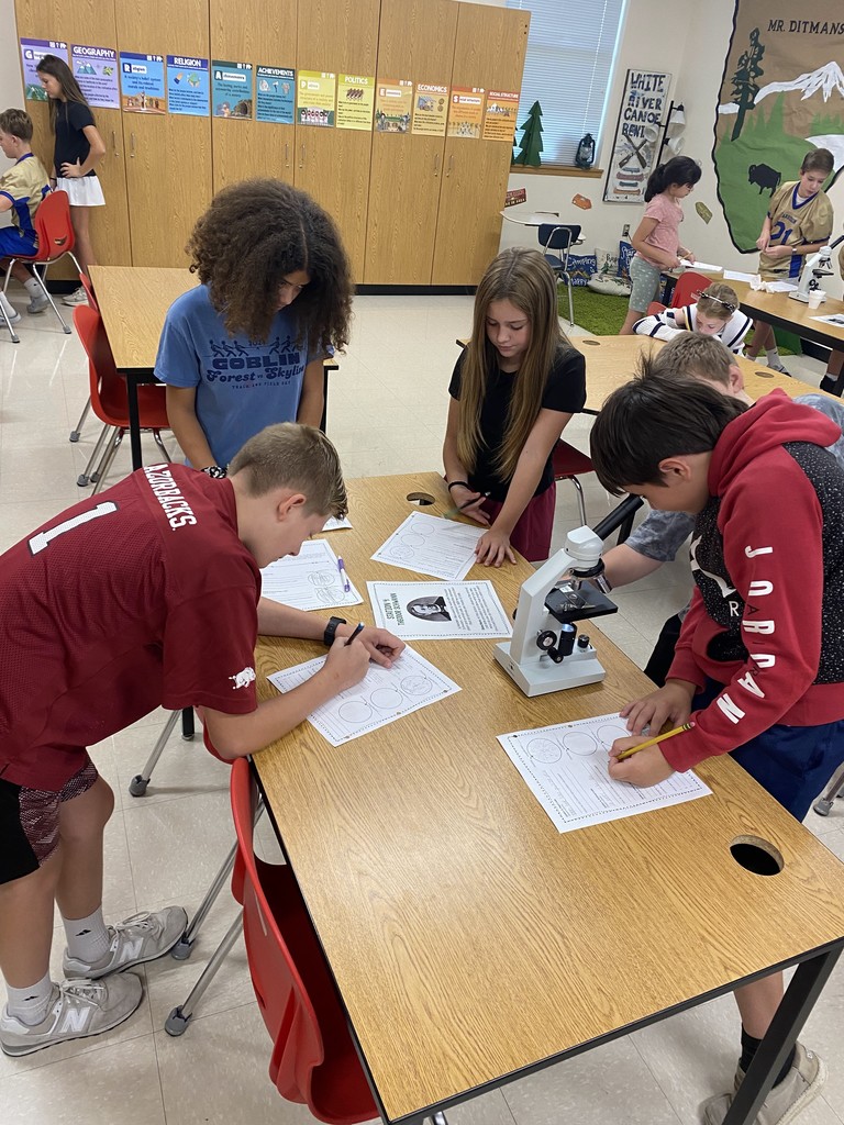 Mr. Ditmanson’s 6th Grade Science class explored Cell Theory with a hands-on microscope lab. 🔬🧬 Students had a blast discovering the building blocks of life up close! 👀✨ #HarrisonMiddleSchool #Goblins #ScienceFun #FutureScientists #STEMRocks  