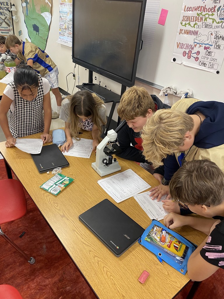 Mr. Ditmanson’s 6th Grade Science class explored Cell Theory with a hands-on microscope lab. 🔬🧬 Students had a blast discovering the building blocks of life up close! 👀✨ #HarrisonMiddleSchool #Goblins #ScienceFun #FutureScientists #STEMRocks  