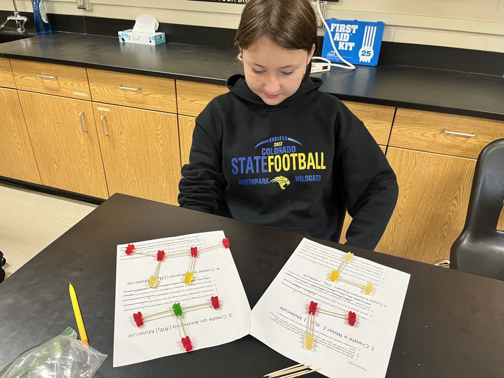 🧪 Hands-On Science Fun! Mrs. Bryant’s science students got creative while learning about molecules! Using gummy bears as atoms and toothpicks as bonds, students built models to show how atoms combine to form different molecules. 🍬🔬  Learning is always sweeter in science class! 💙💛 #HarrisonMiddleSchool #GreatGoblins #HandsOnLearning #ScienceIsSweet