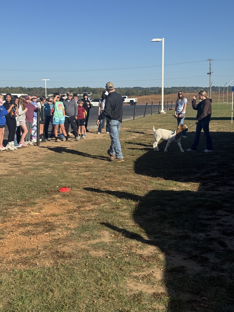 🌾 Farm-Fresh Fun! HMS 5th & 6th graders loved the FFA Agriculture Experience, learning hands-on with real livestock! 🐐🐄  A huge thank you to the Harrison FFA team for bringing this experience to our students! 💙💛 #HarrisonMiddleSchool #GreatGoblins #HarrisonFFA #HandsOnLearning #AgEducation