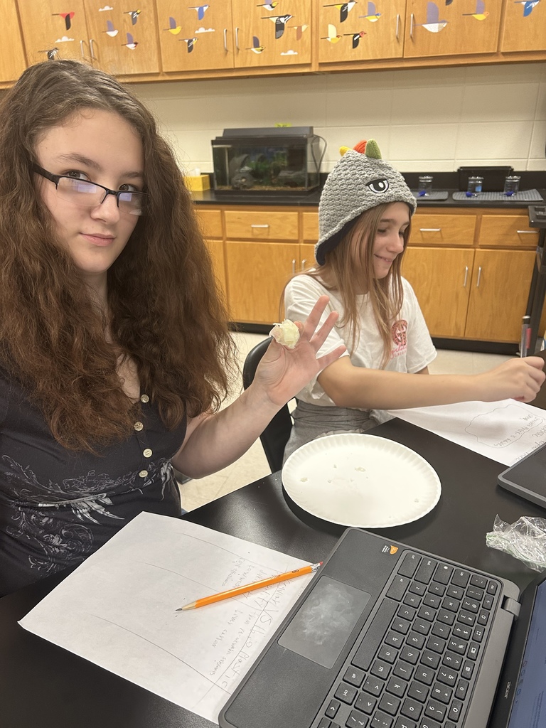 🧪 Science in Action! Mrs. Scoggins’ students explored “Is bioplastic a synthetic material?” 🌱  They learned that bioplastics are made from natural materials like cornstarch or sugarcane — and even made their own in the microwave! 💙💛   #HarrisonMiddleSchool #GreatGoblins #HMSScience #HandsOnLearning #STEMFun #Bioplastics