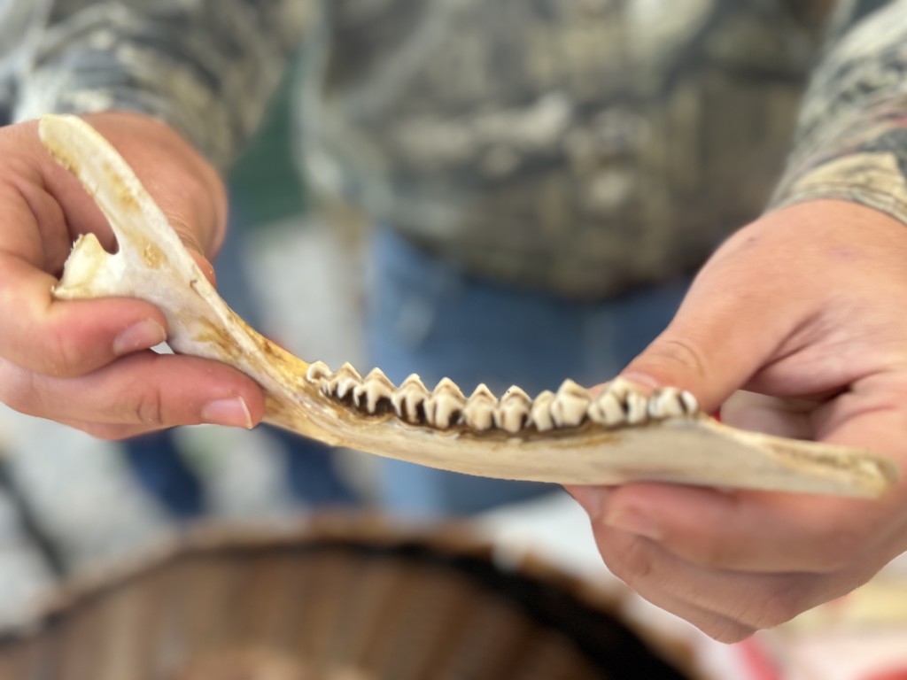 Exploring Careers in the Great Outdoors! 🌳🎯🐟 Mrs. O’Dell’s Career Development students enjoyed learning about Archery, Fishing, and Conservation Careers with the Arkansas Game and Fish Commission during their visit to Fred Berry Crooked Creek Conservation Center. Students wrapped up the day with a fun picnic in the pavilion while taking in the beautiful surroundings!  #HMSGoblins #CareerDevelopment #GoblinPride #GreatToBeAGoblin #HandsOnLearning #ArkansasGameAndFish #OutdoorEducation #FutureCareers