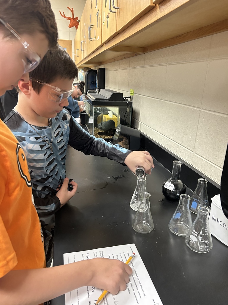 🎈 Science in Action! Mrs. Scoggins’ science students experimented with chemical reactions to review the Law of Conservation of Matter and balancing equations. ⚗️  By mixing acetic acid (vinegar) and sodium bicarbonate (baking soda), students produced carbon dioxide gas — enough to inflate their balloons! 🎈💙💛  #HarrisonMiddleSchool #GreatGoblins #HMSScience #HandsOnLearning #STEMFun #ChemicalReactions