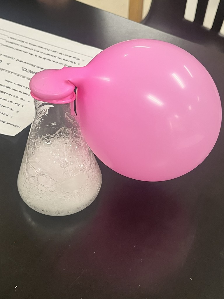 In Mrs. Bryant’s science class, students experimented with acetic acid and sodium carbonate. When these two reactants were combined inside a balloon, they produced water, carbon dioxide, and sodium acetate — causing the balloon to inflate!  Students observed that the mass of the reactants equaled the mass of the products, demonstrating the Law of Conservation of Matter. ⚗️💙💛  #HarrisonMiddleSchool #GreatGoblins #HMSScience #HandsOnLearning #STEMFun #ConservationOfMatter