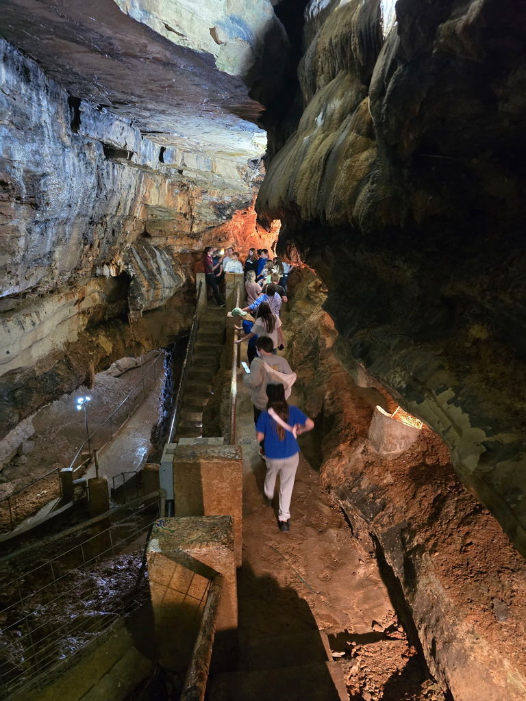 🪨💎 Science Club Adventure! 💎🪨  The Harrison Middle School 5th and 6th Grade Science Club had an amazing time exploring Cosmic Cavern in Berryville, AR! 🌎✨  Students explored the incredible cave system — home to two bottomless lakes — panned for gems, and enjoyed the beauty of the natural surroundings.  What a fun and educational adventure for our Great Goblins! 💙💛  #HarrisonMiddleSchool #GreatGoblins #ScienceClub #STEMAdventures #HandsOnLearning #CosmicCavern #ExploringScience
