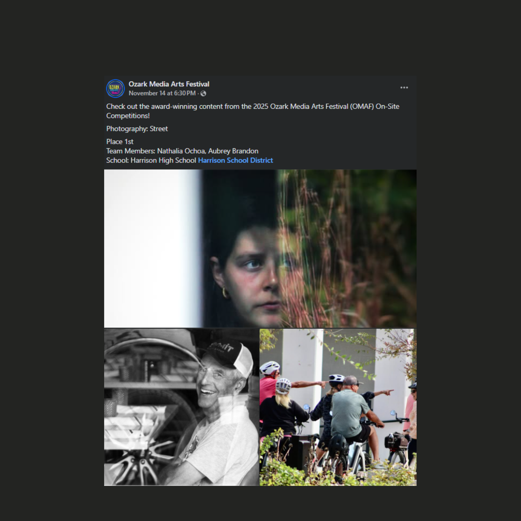 Ozark Media Arts Festival post