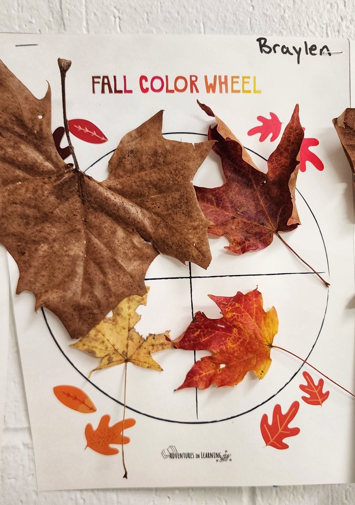 student's "Fall Color Wheel" art project