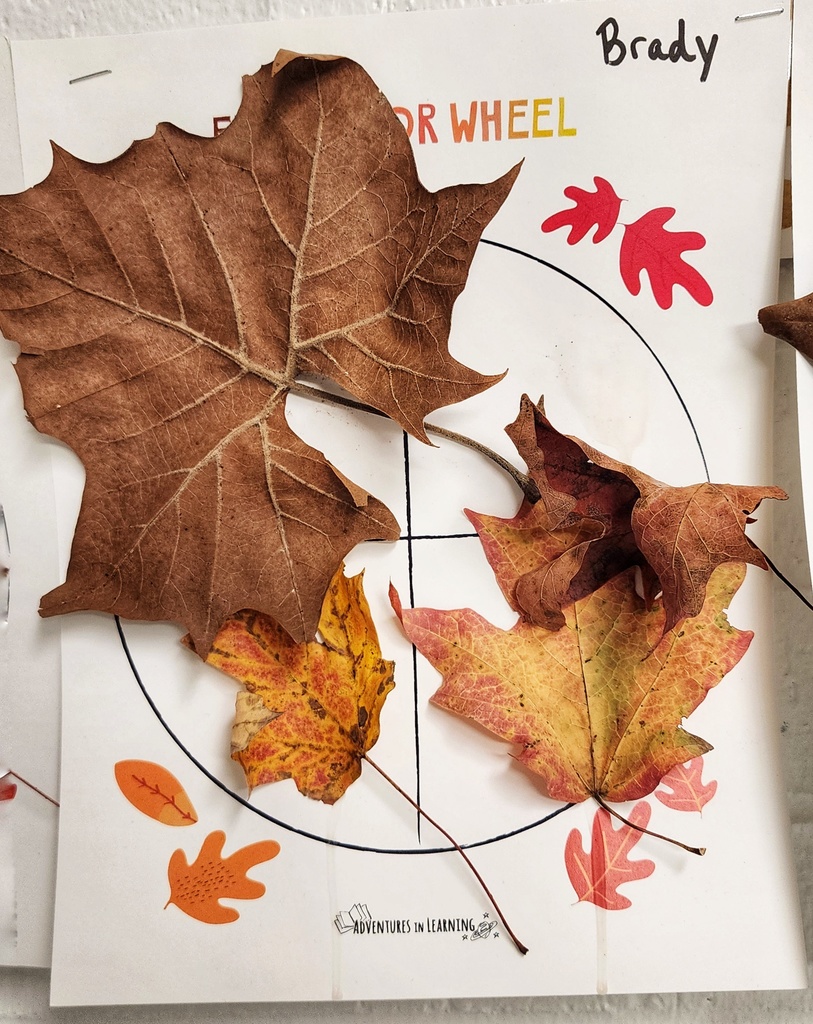 student's "Fall Color Wheel" art project