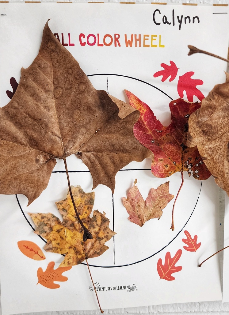 student's "Fall Color Wheel" art project